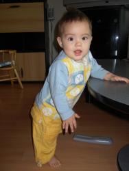 PICT0101.JPG