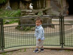 PICT0126.JPG