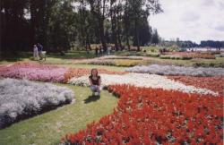 Floriade Holland 004.jpg