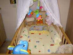 PICT0025.JPG