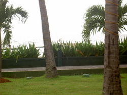 PICT0008.JPG