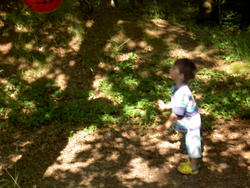 Center Parcs  - Perancis