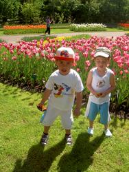 PICT0540