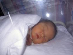 PICT0024.JPG