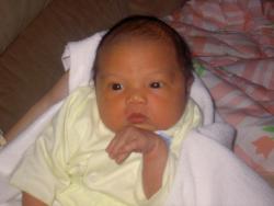 Nicky 2 weeks old