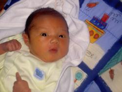 Nicky 2 weeks old