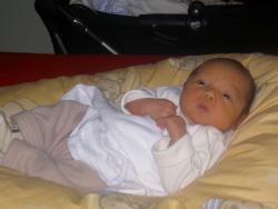 Nicky 2 weeks old