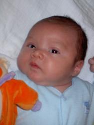 Nicky 1,5 months
