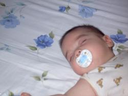 Copy of PICT0042.JPG