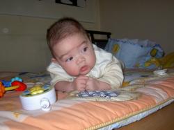 Nicky 3 months