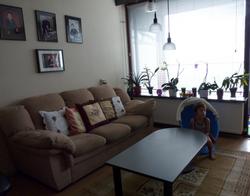 P1020116.jpg